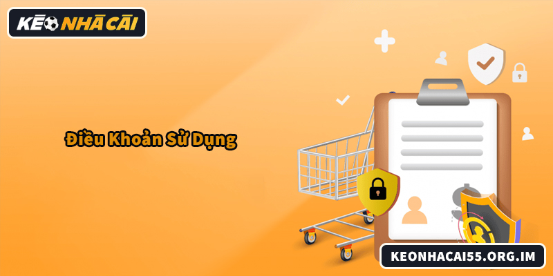 Điều khoản sử dụng định hướng hành vi, nâng cao trải nghiệm người dùng