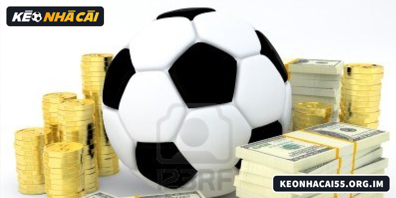 Đọc kèo chấp 0.25 để hiểu ý đồ nhà cái