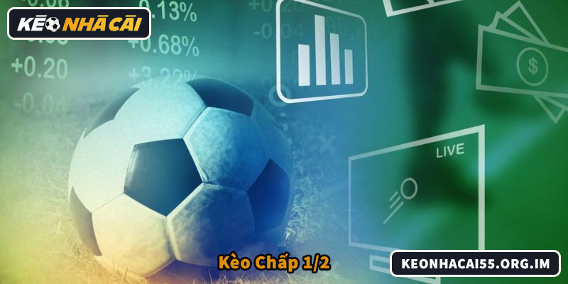 Kinh Nghiệm Soi Kèo Chấp 1/2 Hiệu Quả Từ Cao Thủ