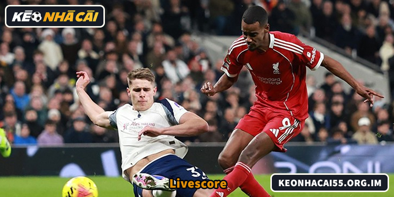 Livescore hỗ trợ bắt kèo live chính xác theo diễn biến trận đấu