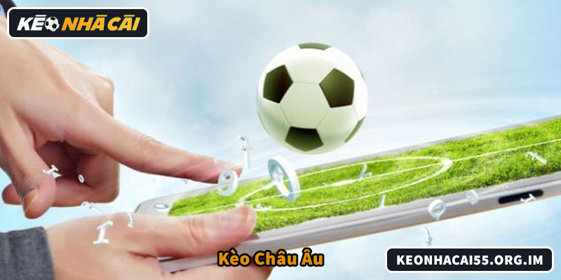So sánh kèo châu Âu và châu Á dễ hiểu cho người chơi